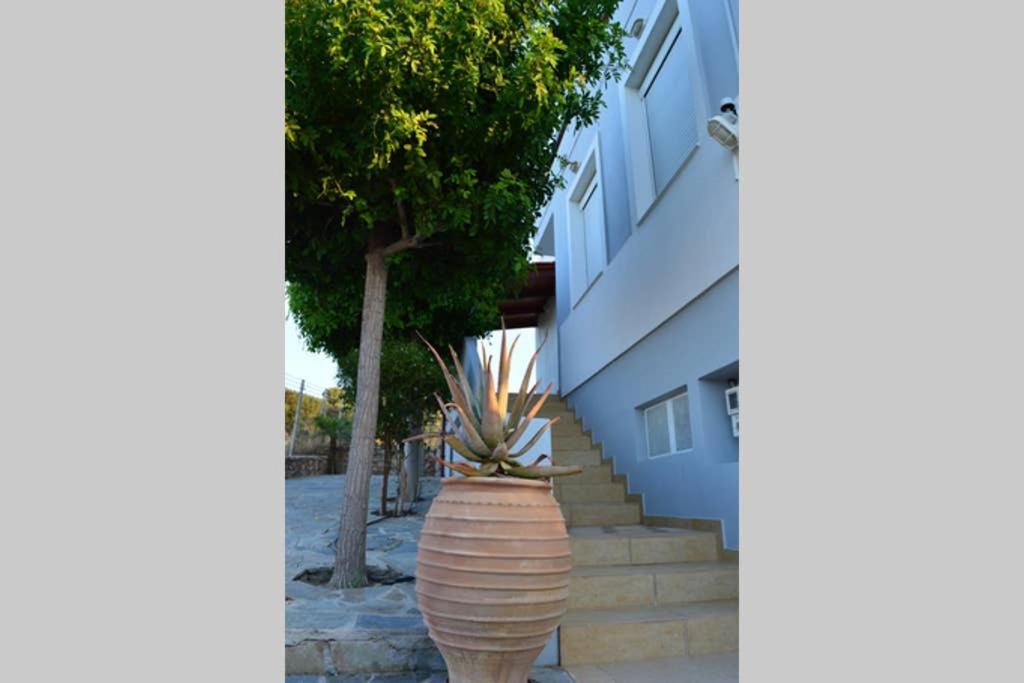United Blue Resorts - Blue View Καρτερός Εξωτερικό φωτογραφία